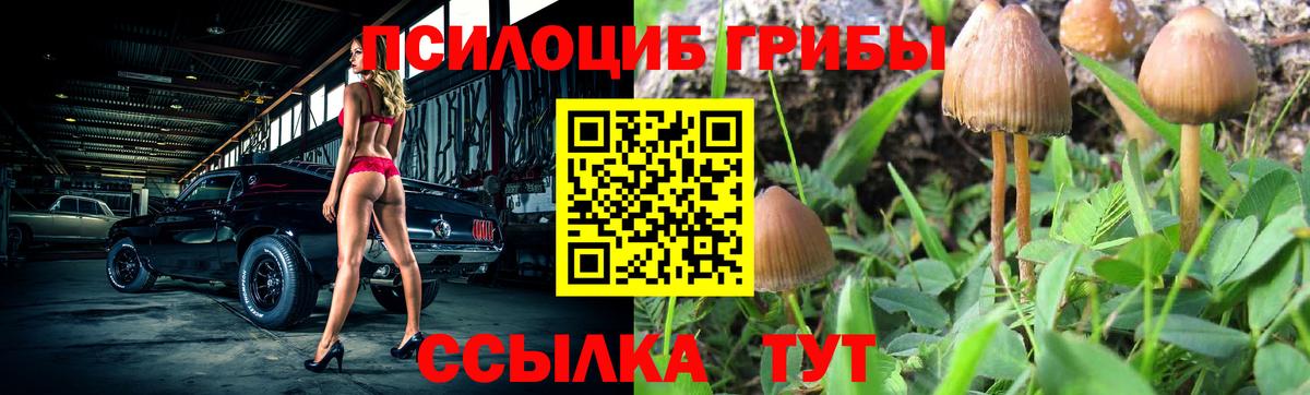 Псилоцибиновые грибы MAGIC MUSHROOMS Торжок