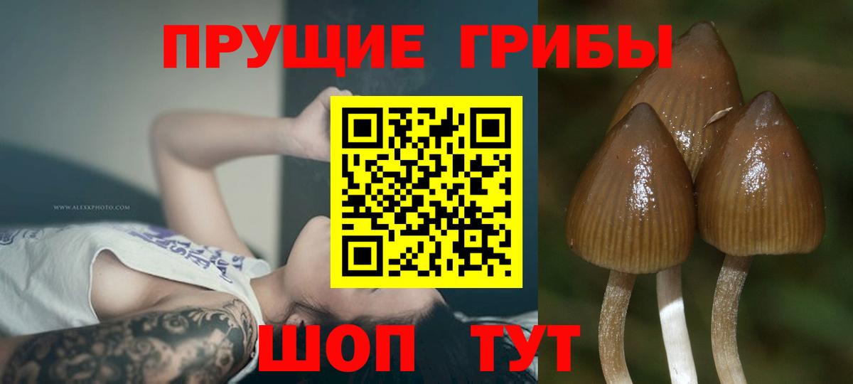 Псилоцибиновые грибы мухоморы  Вход с VPN  Торжок 